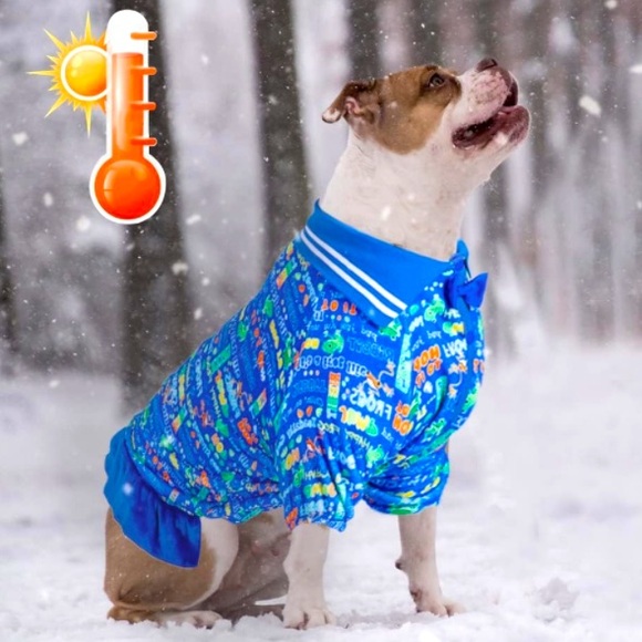 LOVINPET Soft Flannel Dog Dress In Happy Frogs Size XXL - Picture 6 of 11